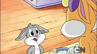 Baby Looney Tunes K9x2cn2odndf_t